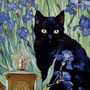 Photo by RosieClaire