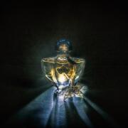 Photo by Bloodberry1