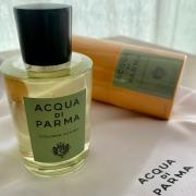 Acqua Di Parma Colonia Futura Eau De Parfum 50ml – Lookincredible