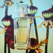 ESTEE LAUDER Beyond Paradise 香水ボトル大型オブジェ Estée Lauder Beyond Paradise Eau de Parfum for Women for