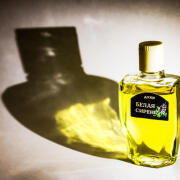 Photo by Lev Izhitca