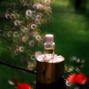 Oud Jungle Fueguia 1833 perfume - a fragrance for women and men 2022