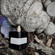 Iris Ebène Atelier Materi perfume - a fragrância Compartilhável 2019