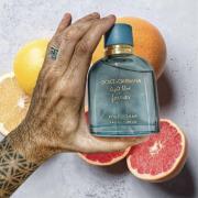 Light Blue pour Homme Forever by Dolce & Gabbana » Reviews & Perfume Facts