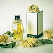 Les Exclusifs de Chanel Sycomore Chanel perfume - a fragrance for