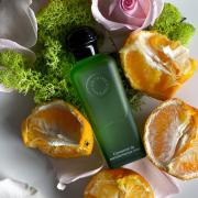 Hermes perfume shop pamplemousse rose