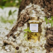 Un Jardin à Cythère Hermès 香水- 一款2023年中性香水