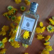 Lemon Sorbet Etro perfume - a fragrance for women and men 1989