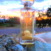 Photo by Abby Normal