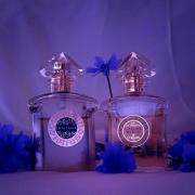 Photo by LOST_HORIZON