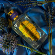 Lavandula Penhaligon's perfume - a fragrance for Lavandula Penhaligon's perfume - a fragrance for