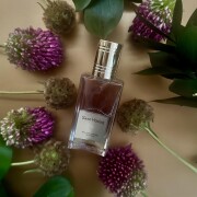 Saint Honoré Nicolai Parfumeur Createur 香水- 一款2024年中性香水
