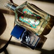 mr burberry indigo fragrantica.com