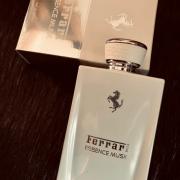 Ferrari essence musk fragrantica new arrivals