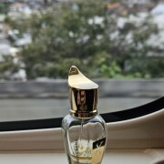 Pikovaya Dama 2018 Xerjoff perfume - a fragrance for women and men