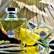 huiselijk gebouw Stoutmoedig Versense Versace perfume - a fragrance for women 2009