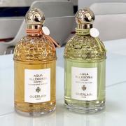 Mandarine Basilic Harvest Guerlain perfume - a new fragrance for women ...