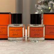 Photo by David Mencey