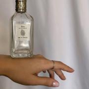 Photo by Oksana Groza