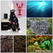 香水(ユニセックス) MOTH and RABBIT NO8 - THE LOBSTER 12ml No8_TheLobster_back_683x1024.