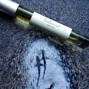 Photo by laurentiurobert529