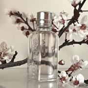 Fleurs De Cerisier L&#039;Occitane en Provence perfume - a