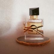 Mon paris yves outlet saint laurent equivalenza