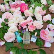 LOUIS VUITTON IMAGINATION vs MFK AQUA MEDIA COLOGNE  The 2 Best Fresh  Fragrances on the Market 🔥 