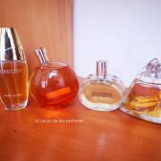 Photo by Perla Vencis