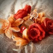 Photo by симонетта веспуччи