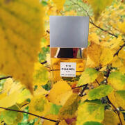 Photo by Lady Winter