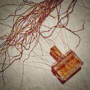 Photo by Crow'sNovember