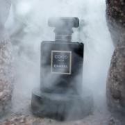 chanel noir fragrantica