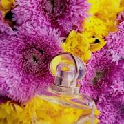 Estée Lauder Beautiful Belle Fragrance 2018 (Estée Lauder)