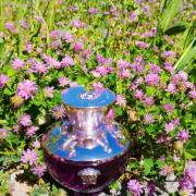 香水(女性用) VERSACE DYLAN PURPLE Eau de Parfum 30ml Dylan Purple EDP 30 ml Purple | VERSACE US