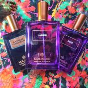 Rose Eau de Parfum Molinard perfume - a fragrance for women and