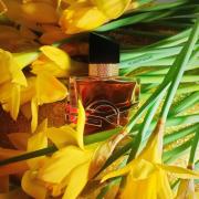 YSL Libre Le Parfum — A Tale of Three Skins ~ Fragrance Reviews