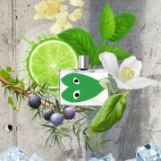 Green Comme des Garcons perfume - a fragrance for women and