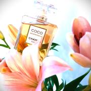 Coco Mademoiselle Chanel perfume - a fragrance for women 2001