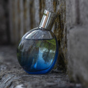 L'Ombre Des Merveilles Hermès perfume - a fragrância