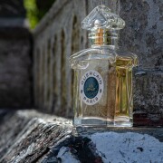 香水(ユニセックス) Guerlain Vol de Nuit Eau de Cologne 50ml Vol de Nuit Guerlain perfume - a fragrância Feminino 1933