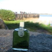 Photo by Vibia Sabina