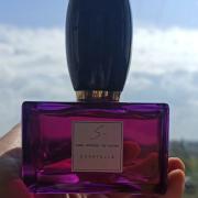 ESSE STRIKES THE NOTES - DONATELLA PERFUME / FRAGRANCE REVIEW 