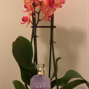 Vanilla Candy Rock Sugar | 42 Kayali Fragrances 香水- 一款2024年女