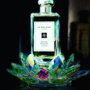 Fragrantica discount jo malone