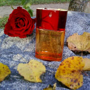 Photo by Lady Winter