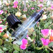 Photo by LirikaYEpika