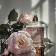 Angeli di Firenze Santa Maria Novella perfume - a fragrância