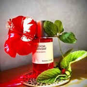 Hibiscus Mahajád Maison Crivelli аромат - аромат для жінок та