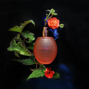 香水(ユニセックス) 496.SHISEIDO ENERGIZING FRAGRANCE 100ml Shiseido Energizing Fragrance - Floral Women's Perfume